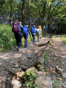真夏の日和田山縦走　～低山・里山をなめた…