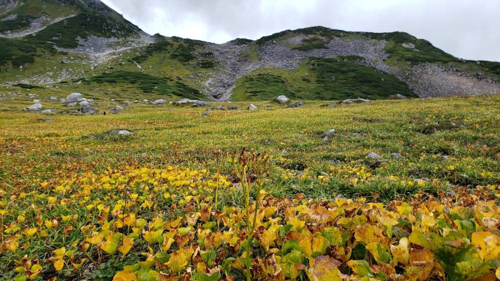 秋を迎える立山【長野店】