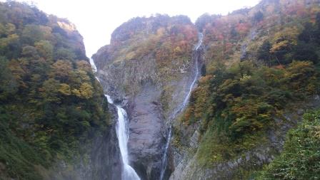 富山の秋　クマ対策の秋