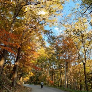 ☆さっぽろ紅葉情報☆