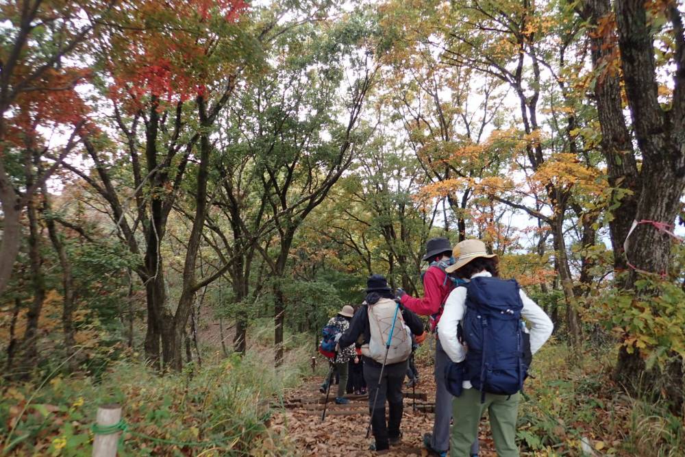 陣馬山で登山学校【登山本店】