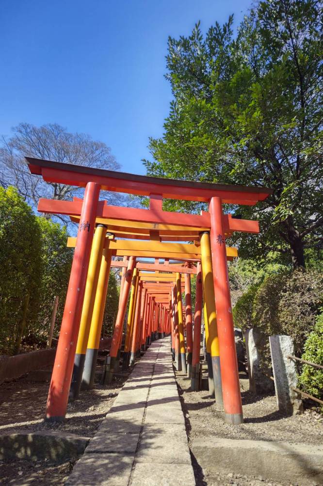 【山あそびクラブ】ゆるランへの近道は早歩…