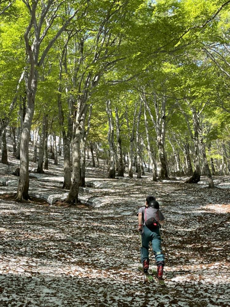シメにおすすめ鍋倉山【登山本店】