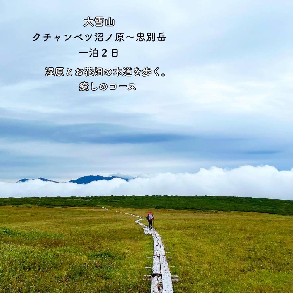 沼の原~忠別岳/湿原とお花畑の木道を歩く…