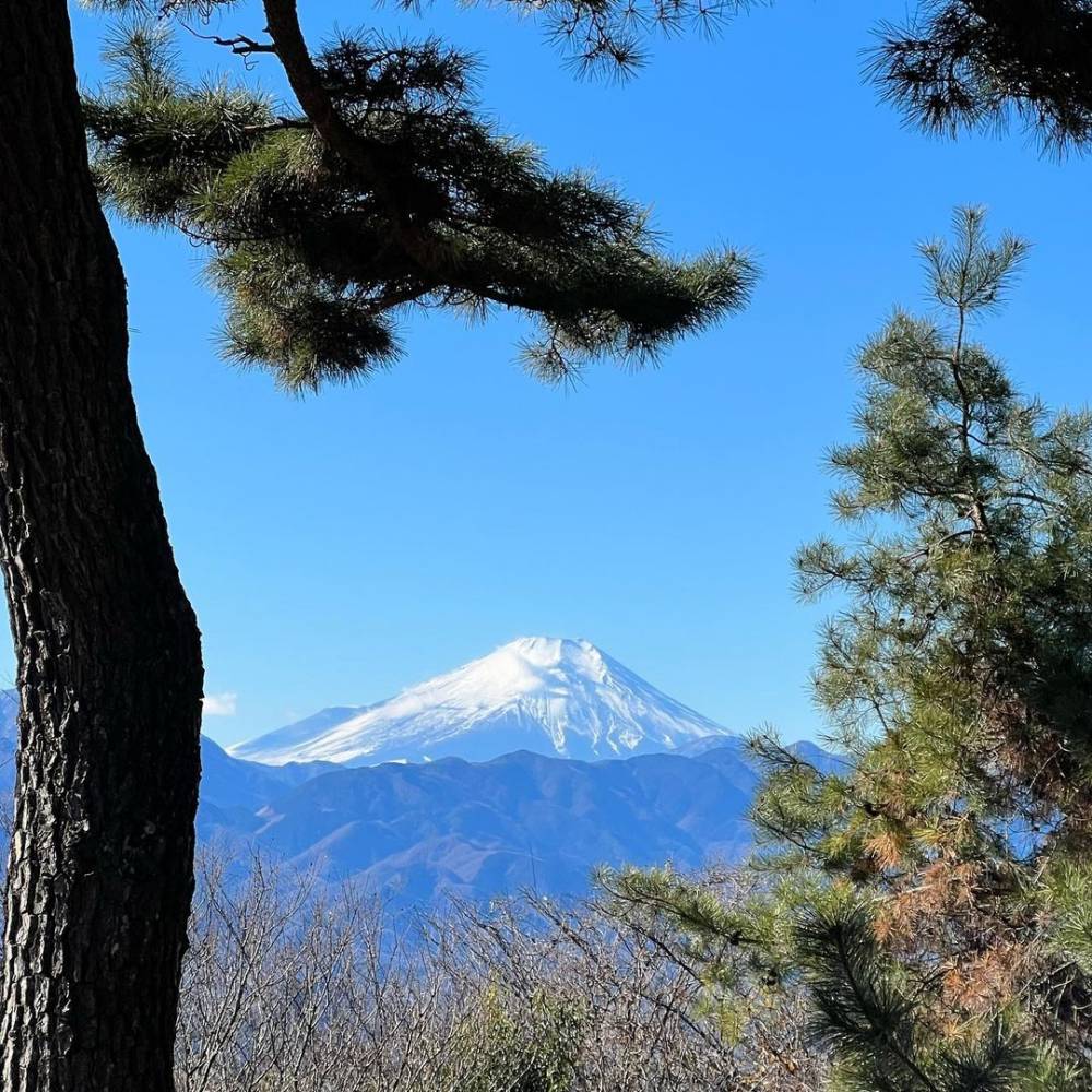 初めて高尾山、奥高尾へトレラン行ってきま…
