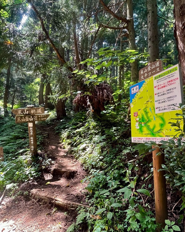 ⛰米山⛰【新潟店】