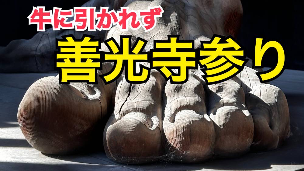 牛に引かれず善光寺参り【富山店】