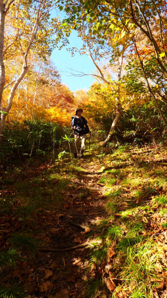 高畑登山口