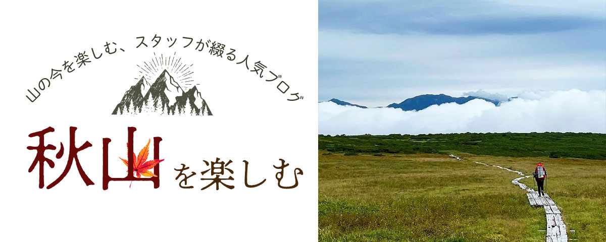 秋