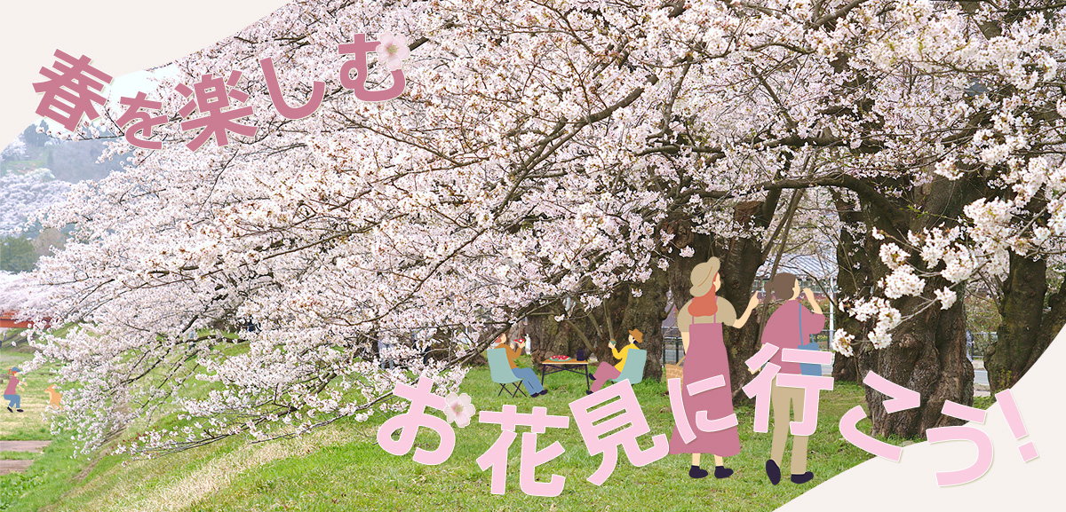 お花見