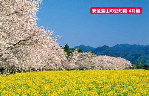安全登山の豆知識4月編