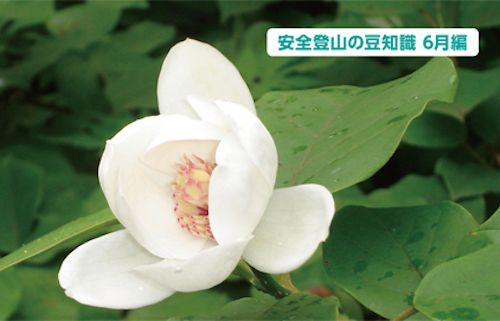 安全登山の豆知識6月編
