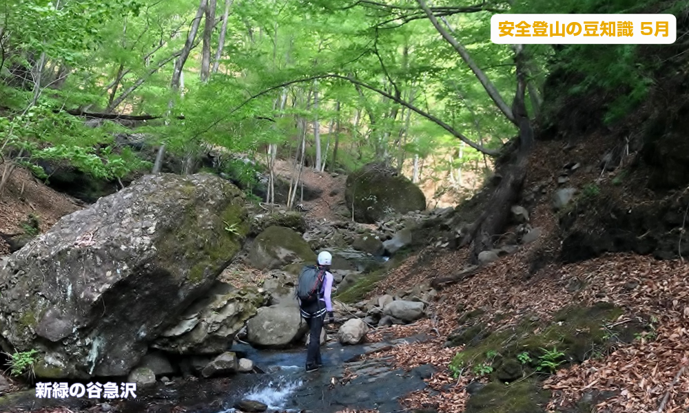 4月登山の日