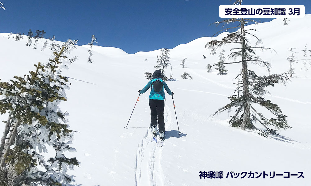 3月登山の日