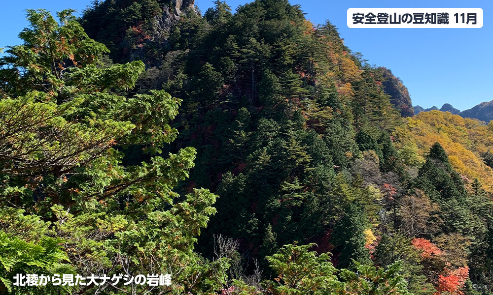 11月登山の日