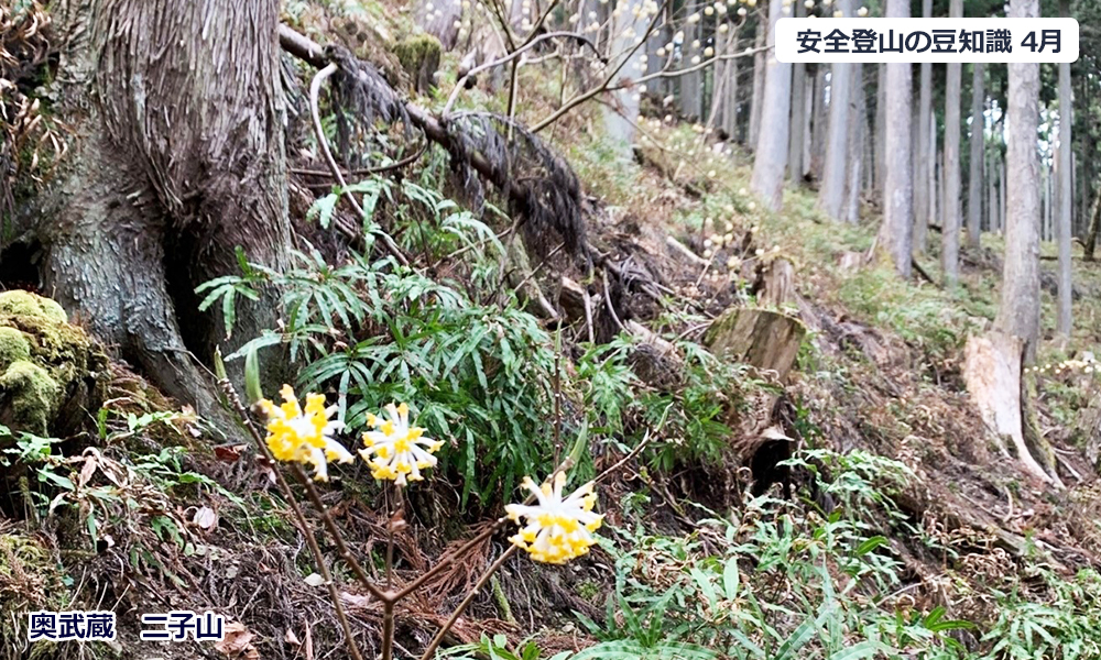 4月登山の日