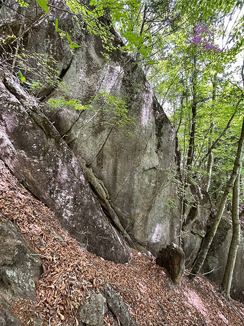 5月登山の日