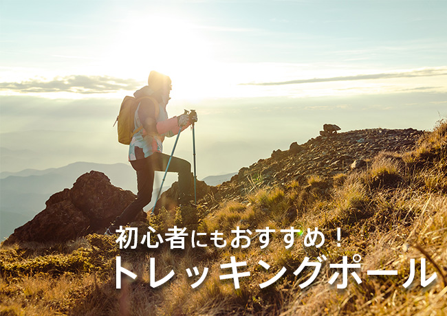 トレッキングポール活用する人増えてます!